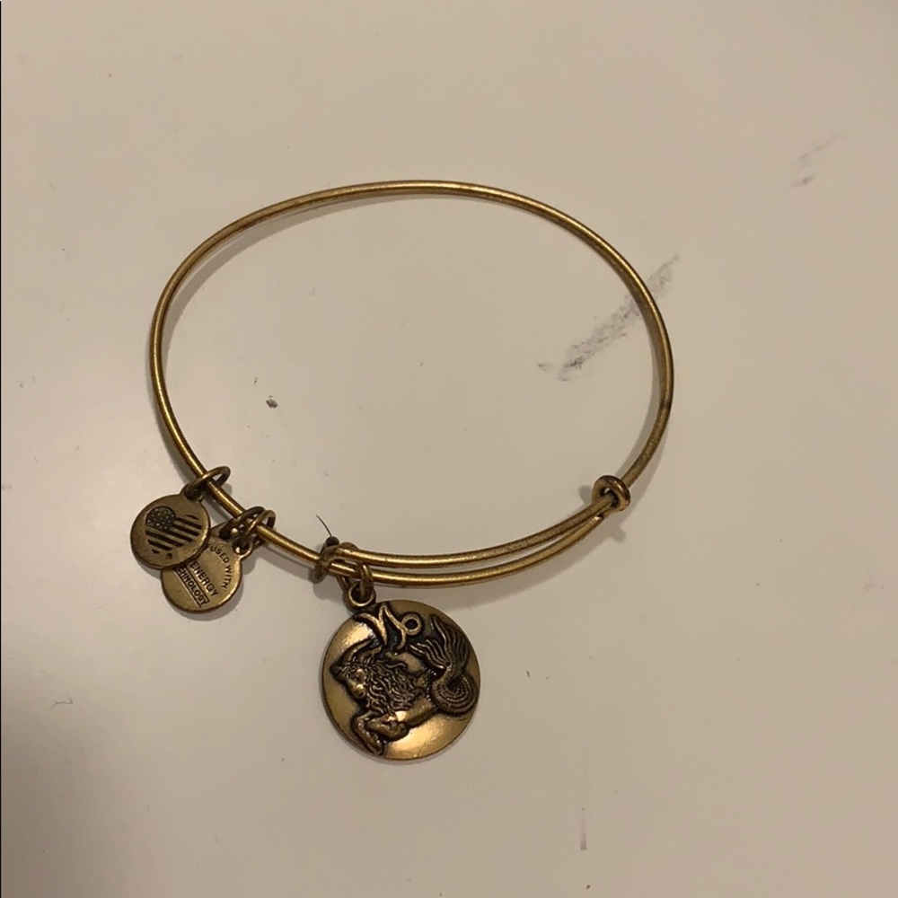 Alex and Ani Capricorn Bracelet